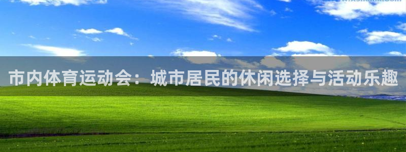 风速体育官网
