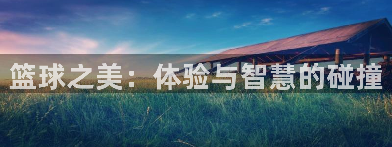 风速体育下载