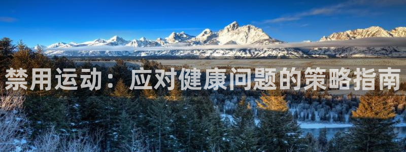 下载风速体育