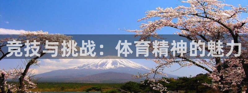 风速体育app下载官网最新版