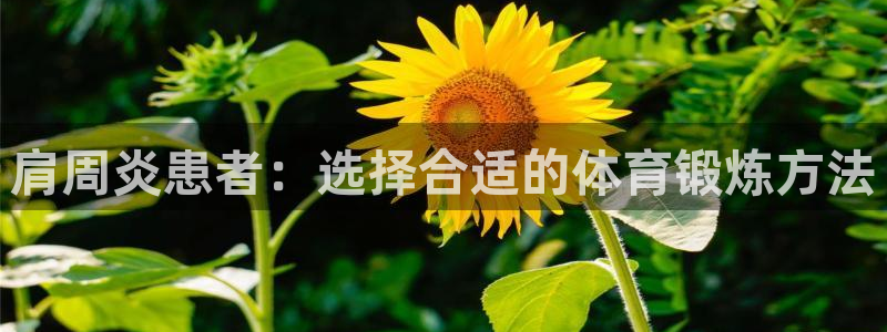 风速体育直播