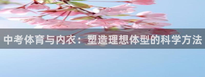 风速体育app下载官网最新版