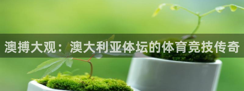 风速体育下载