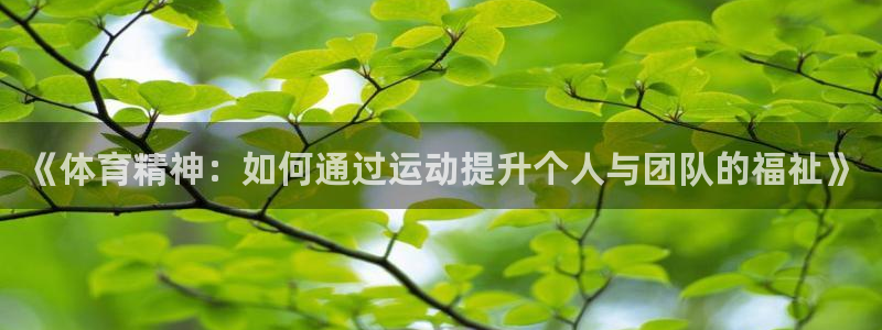 风速体育app官方下载