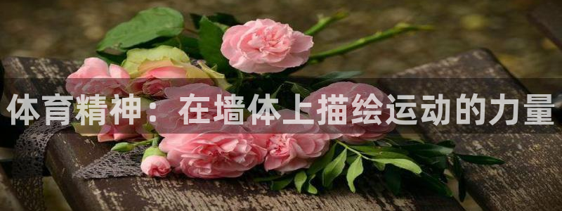 风速体育直播app