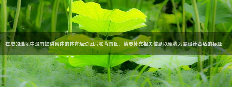 风速体育直播
