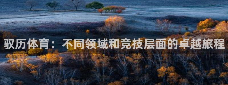 风速体育app下载安装最新版本
