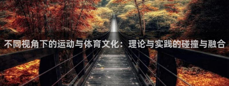 风速体育官网