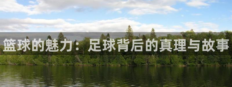 风速体育直播