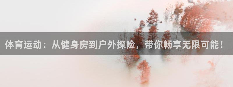 风速体育