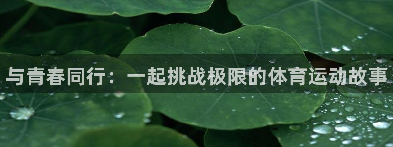 风速体育app下载官网最新版