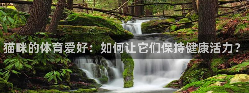 风速体育app
